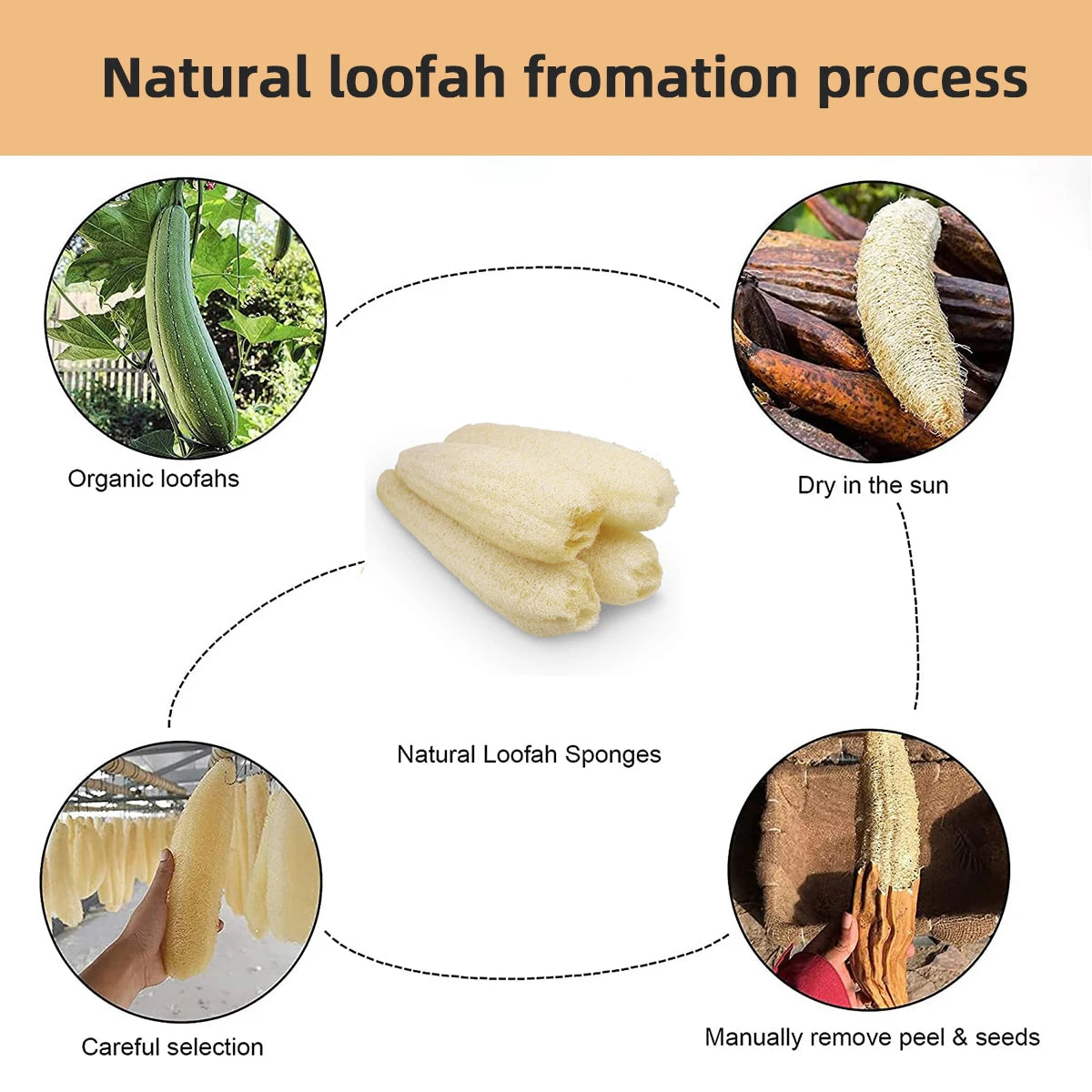 Full Loofah Natural Exfoliating Biodegradable Loofah Sponge Cellulose Natural Shower Sponge Scrubber for Kitchen Bathroom